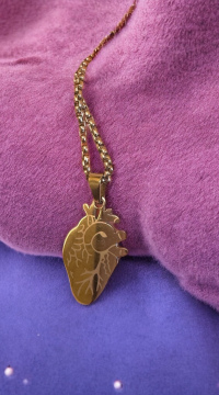 🖤 Anatomisches Herz 