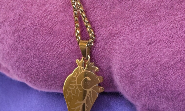 🖤 Anatomisches Herz 